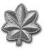 Army rank insignia for pay grade O-5